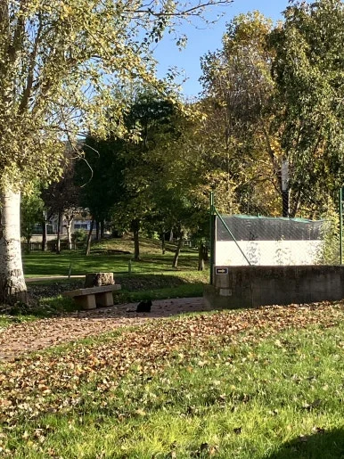 IMG_2509.jpg?type=w386