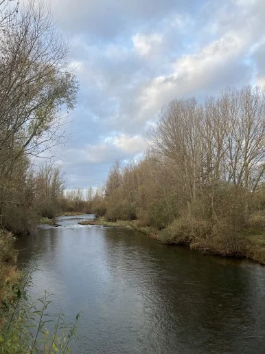 IMG_5518.jpg?type=w386