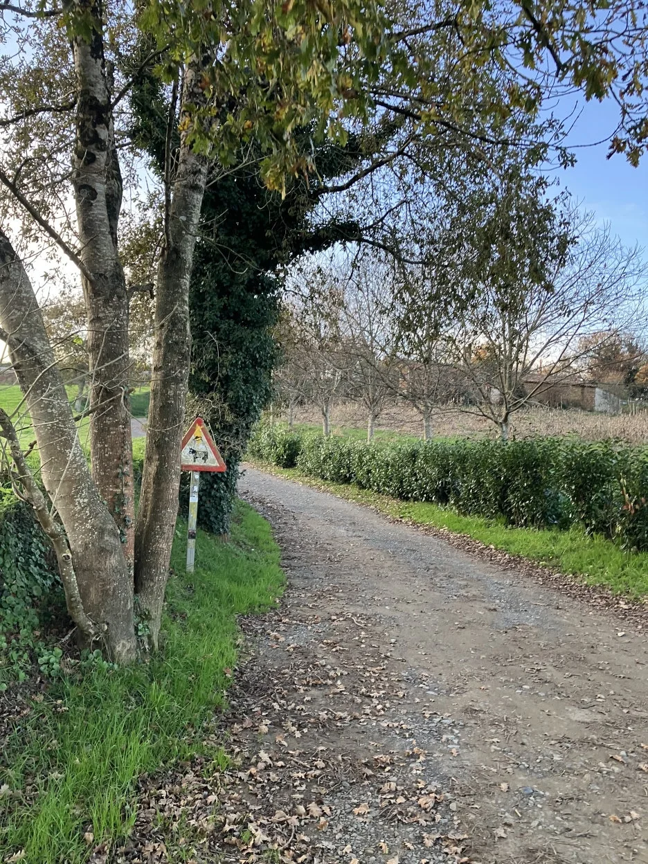 IMG_9425.jpg?type=w1