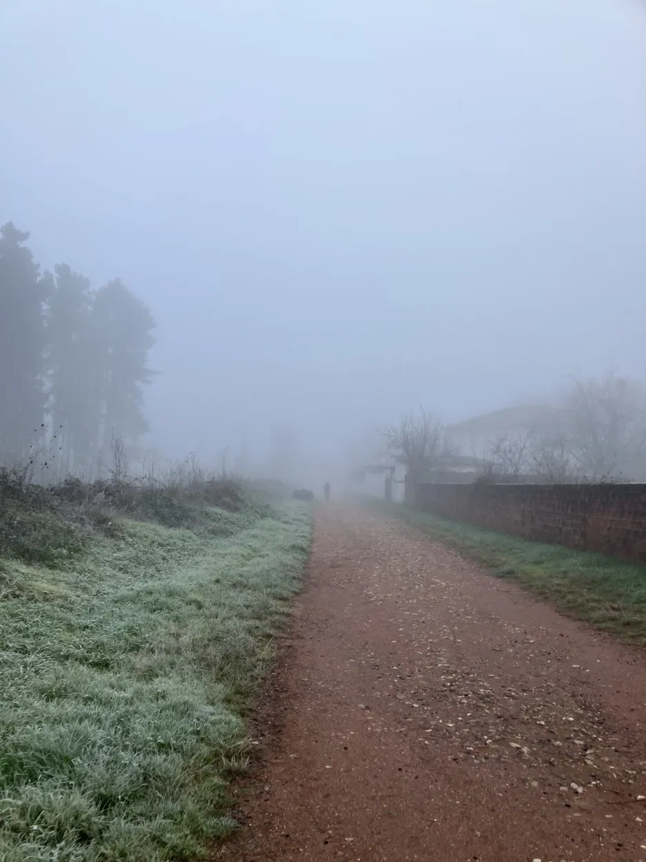 IMG_8798.jpg?type=w1