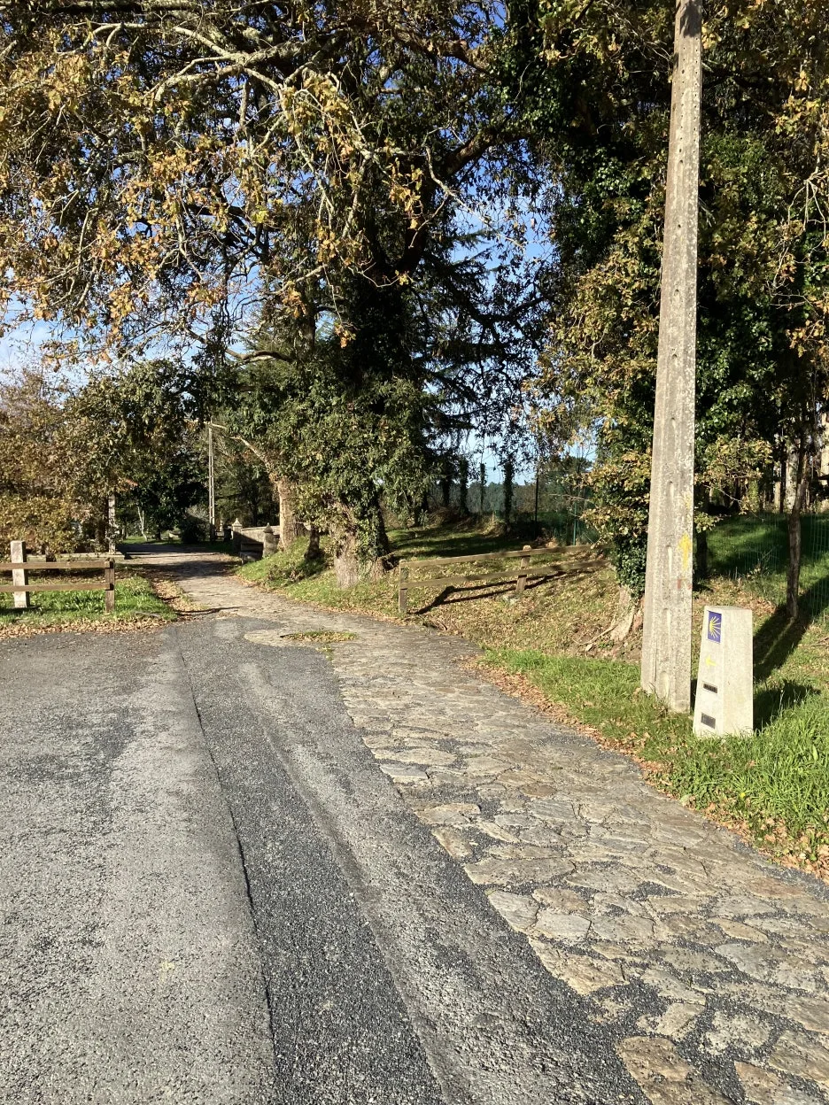 IMG_9598.jpg?type=w1