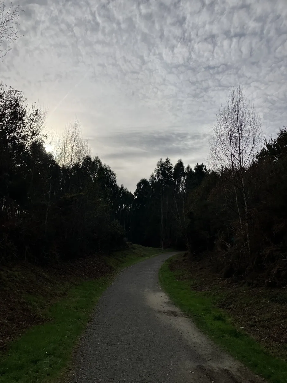 IMG_9727.jpg?type=w1