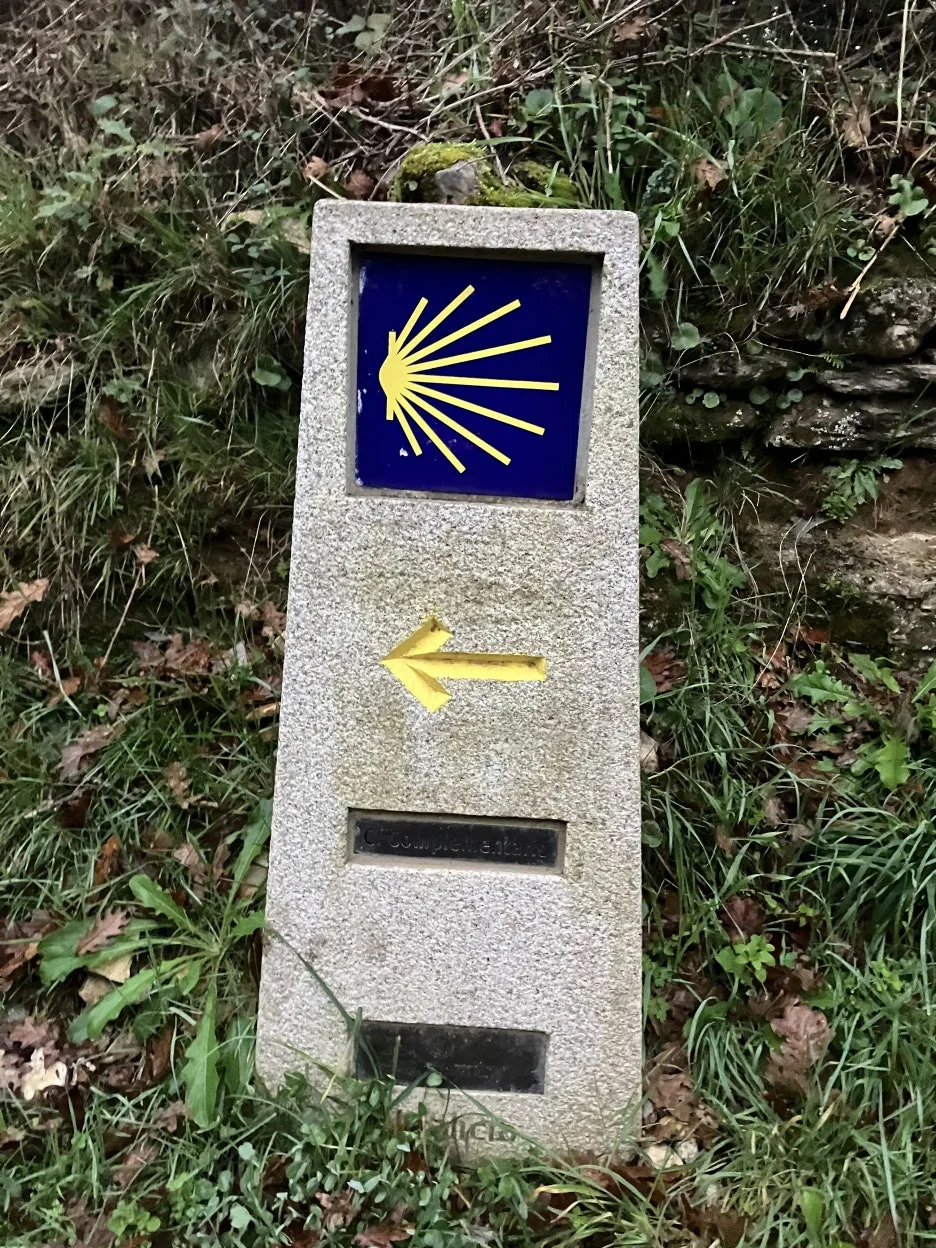 IMG_8777.jpg?type=w1