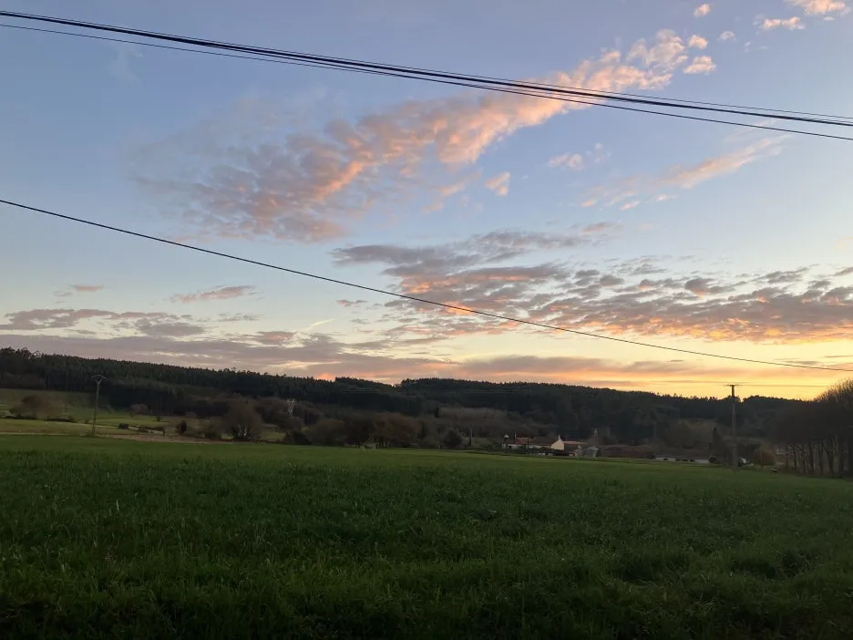 IMG_9519.jpg?type=w1