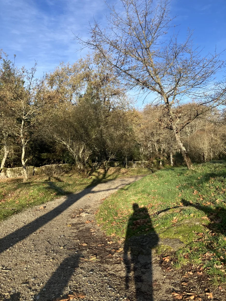 IMG_8512_2.jpg?type=w1