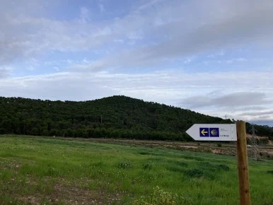 IMG_2991.jpg?type=w386