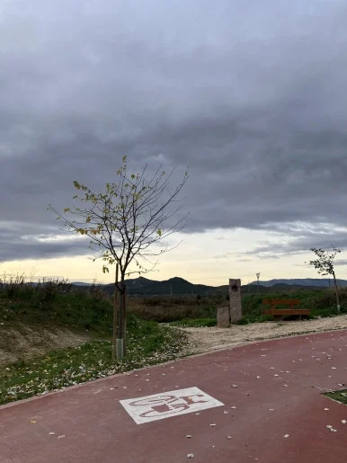 IMG_2965.jpg?type=w386