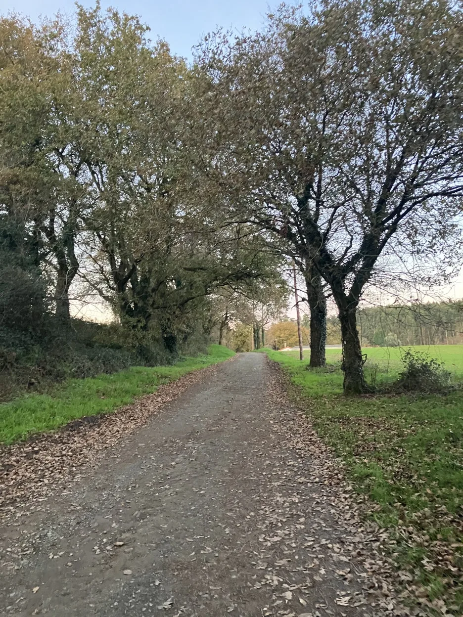 IMG_9522.jpg?type=w1