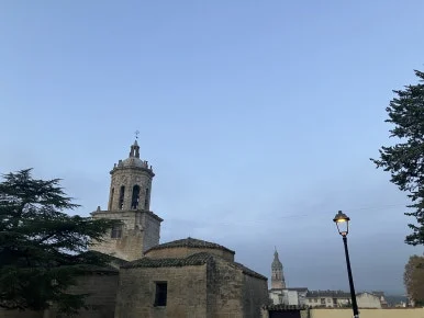 IMG_2421.jpg?type=w386