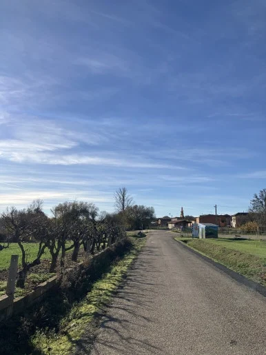 IMG_6348.jpg?type=w386