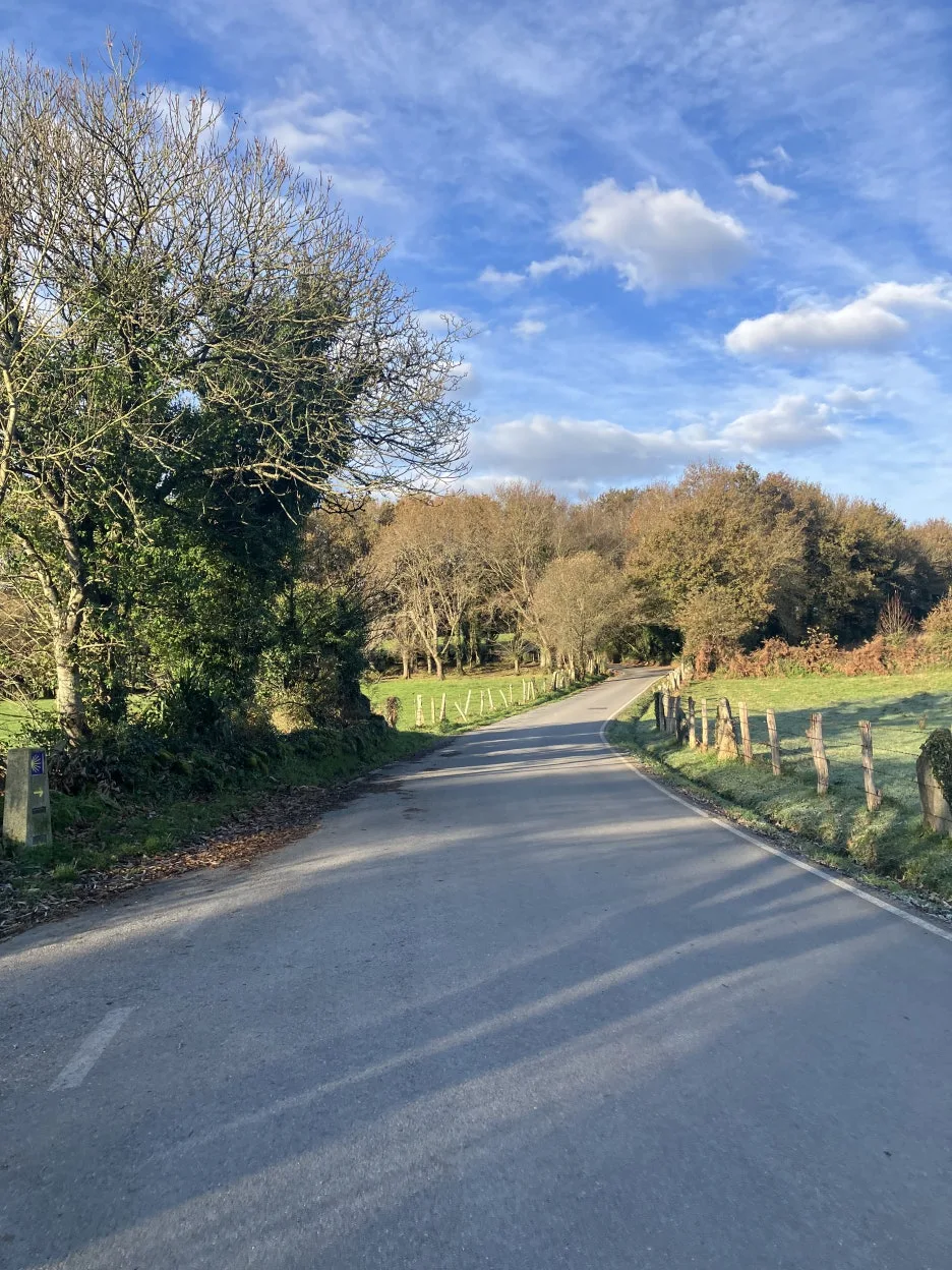 IMG_8492_2.jpg?type=w1