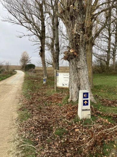 IMG_5097_2.jpg?type=w386