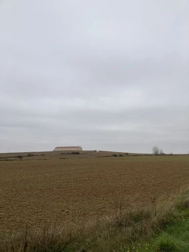 IMG_5127_2.jpg?type=w386