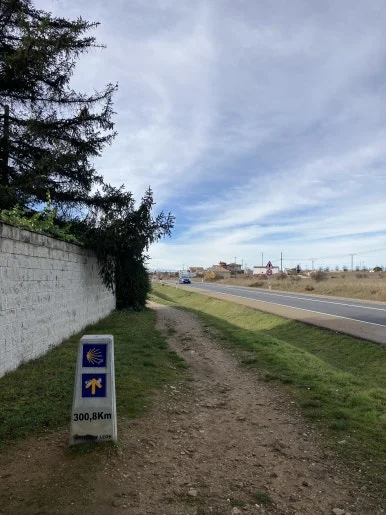 IMG_6079.jpg?type=w386