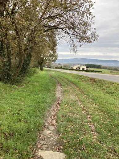 IMG_8318.jpg?type=w386