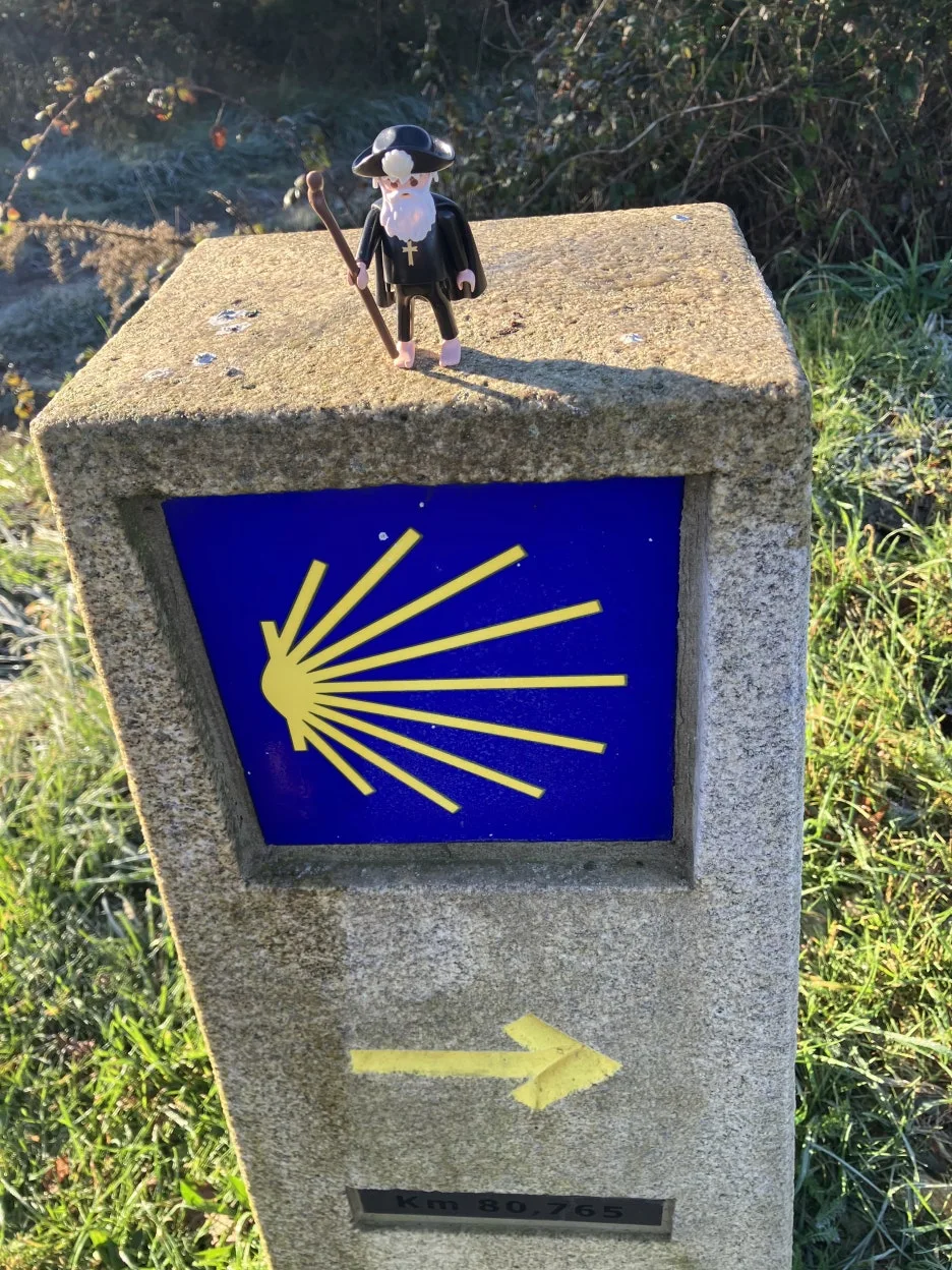 IMG_8891.jpg?type=w1