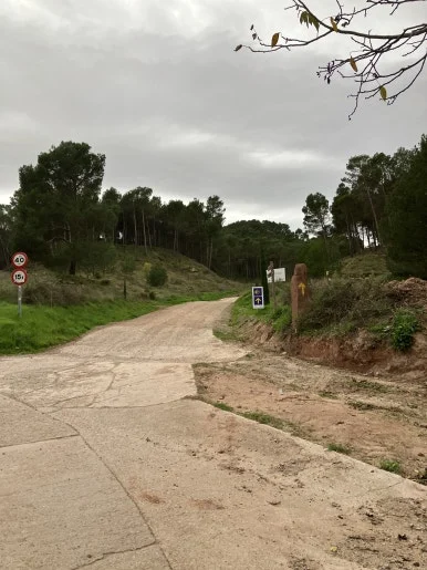 IMG_3134.jpg?type=w386