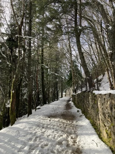 IMG_7839.jpg?type=w386