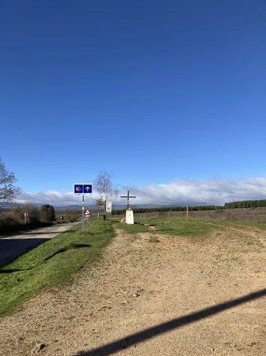 IMG_6700_2.jpg?type=w386