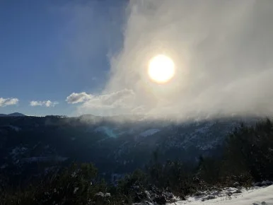 IMG_7835.jpg?type=w386