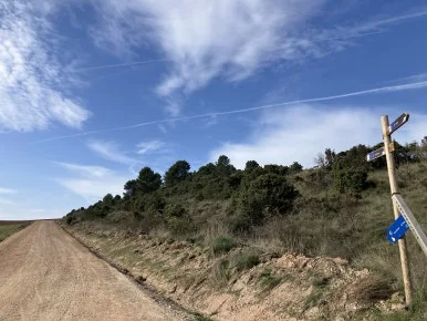 IMG_2661.jpg?type=w386