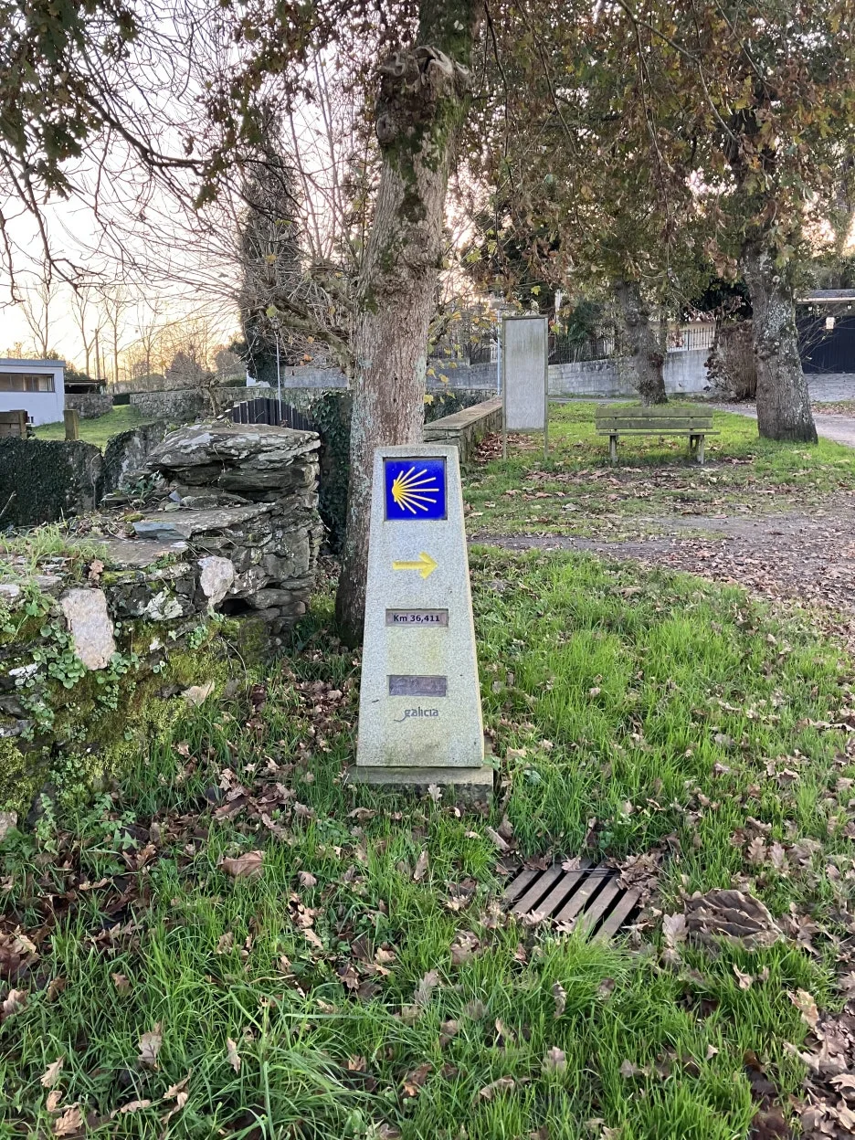 IMG_9422.jpg?type=w1