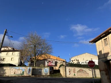 IMG_3322.jpg?type=w386