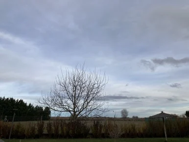 IMG_6186.jpg?type=w386