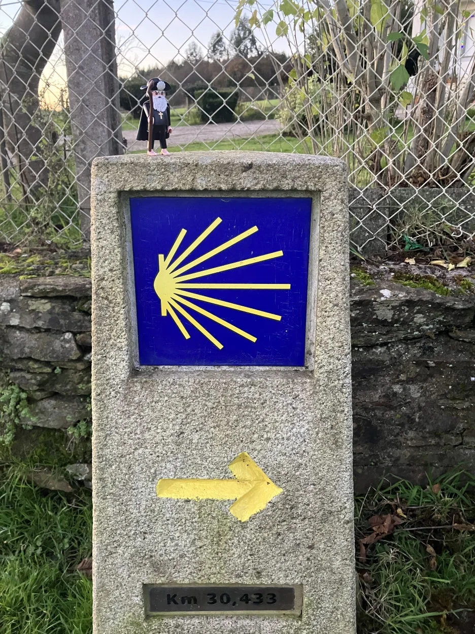 IMG_9511.jpg?type=w1