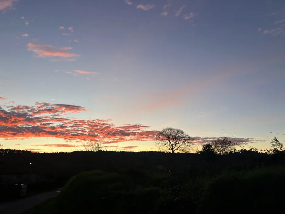 IMG_9508.jpg?type=w1