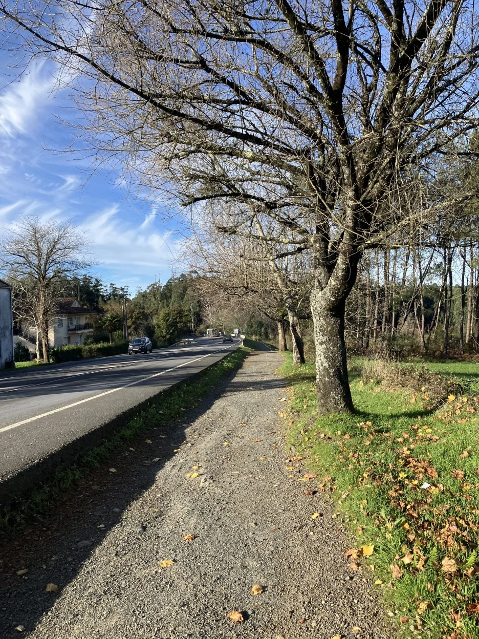 IMG_9601.jpg?type=w1