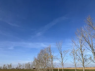 IMG_4959.jpg?type=w386