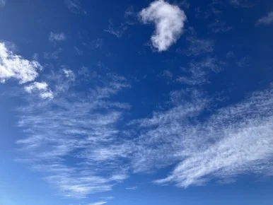 IMG_7529.jpg?type=w386