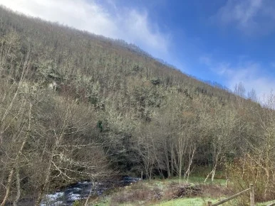 IMG_7662.jpg?type=w386