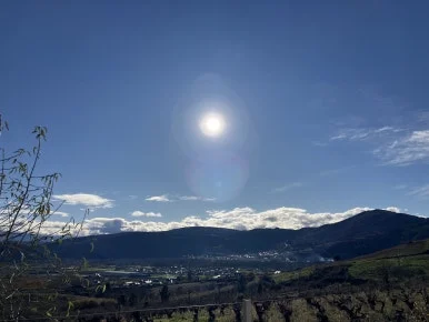 IMG_7552.jpg?type=w386