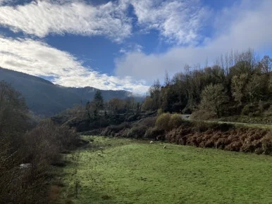 IMG_7664.jpg?type=w386