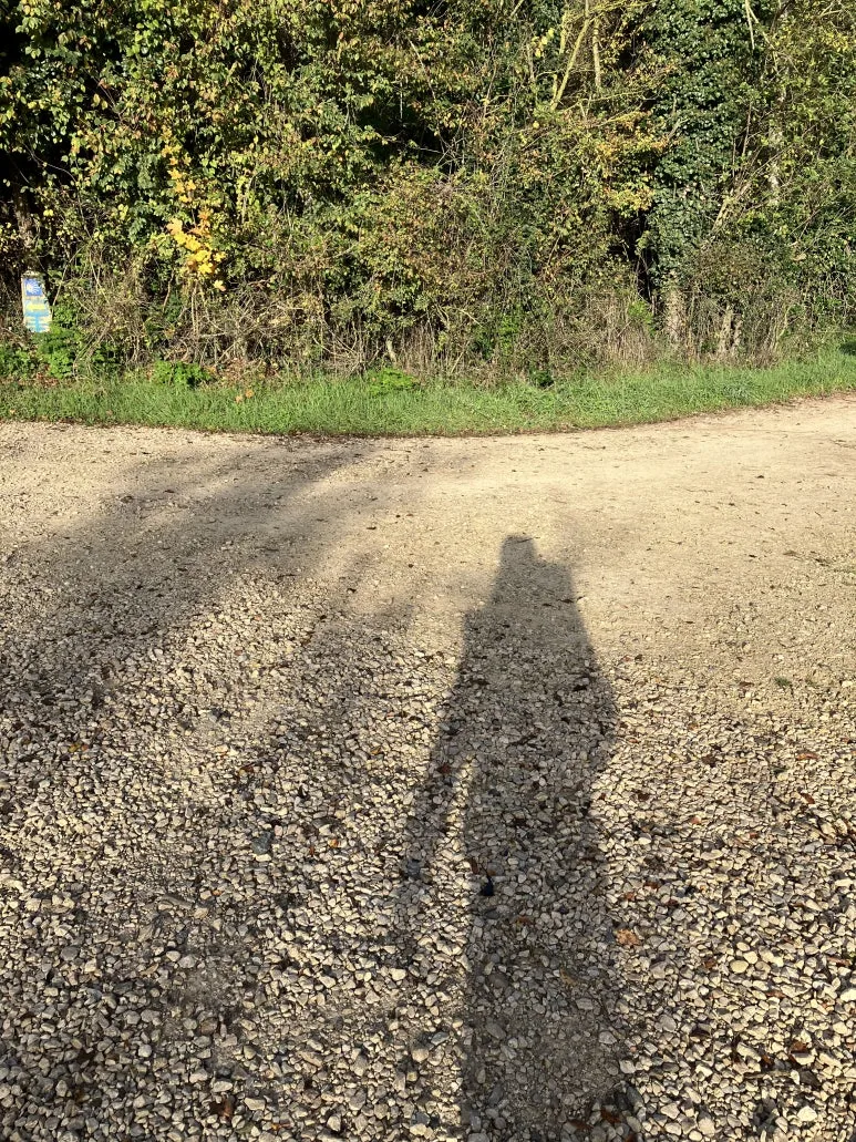 IMG_2328.jpg?type=w773