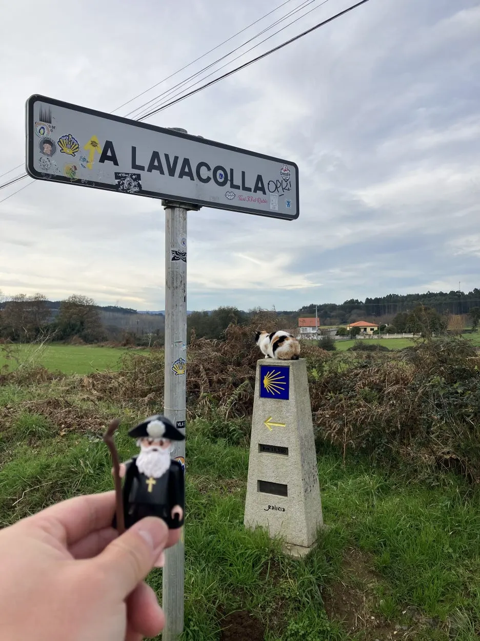 IMG_9740.jpg?type=w1