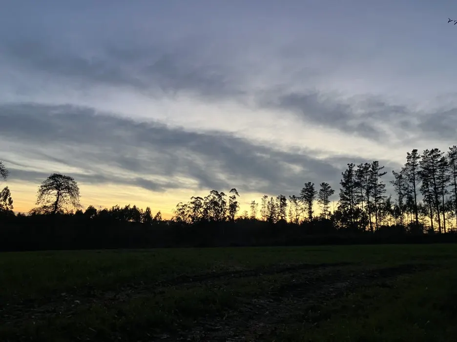 IMG_9446.jpg?type=w1