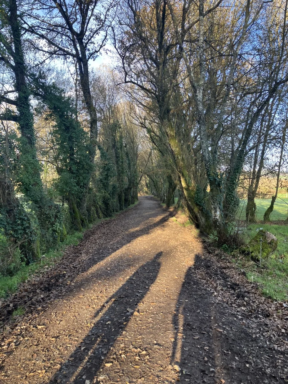 IMG_8505_2.jpg?type=w1