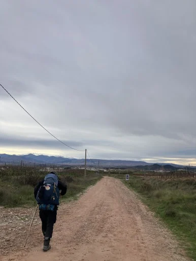 IMG_3088.jpg?type=w386