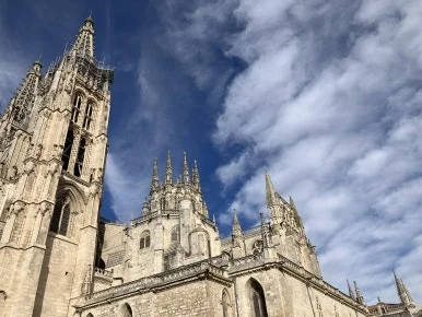 IMG_3943.jpg?type=w386