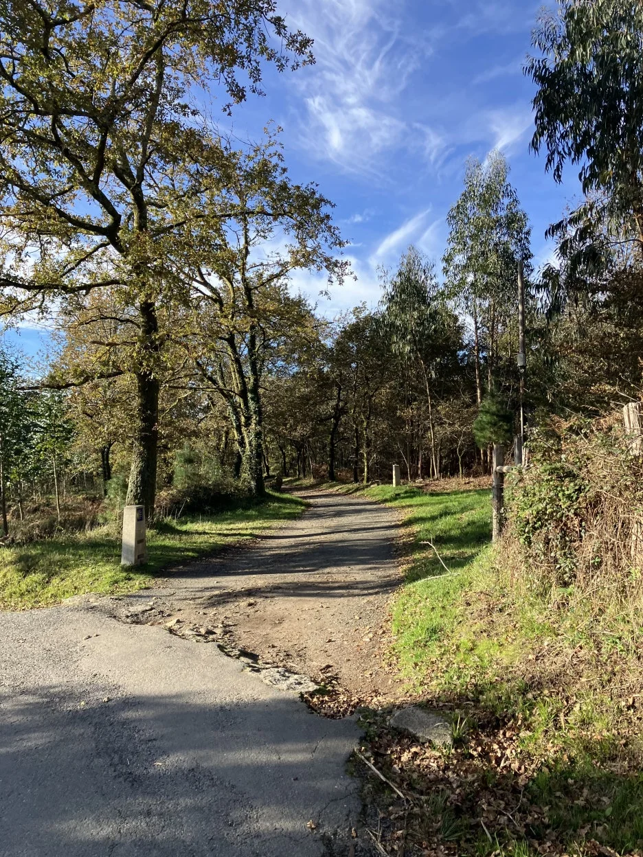 IMG_9610.jpg?type=w1