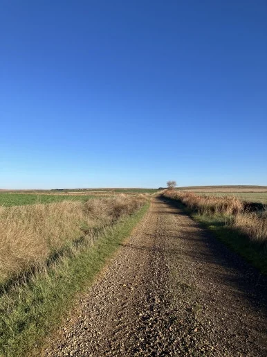 IMG_4822.jpg?type=w386