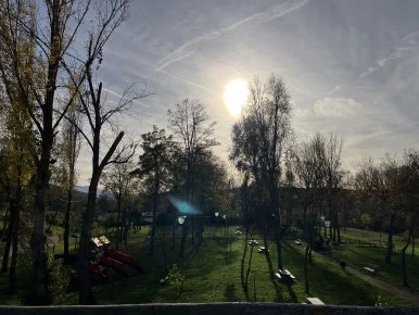 IMG_3509.jpg?type=w386