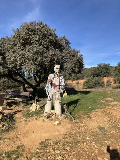 IMG_6377.jpg?type=w386