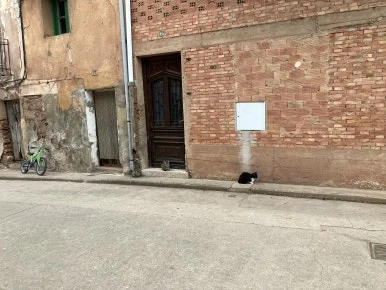 IMG_3156.jpg?type=w386