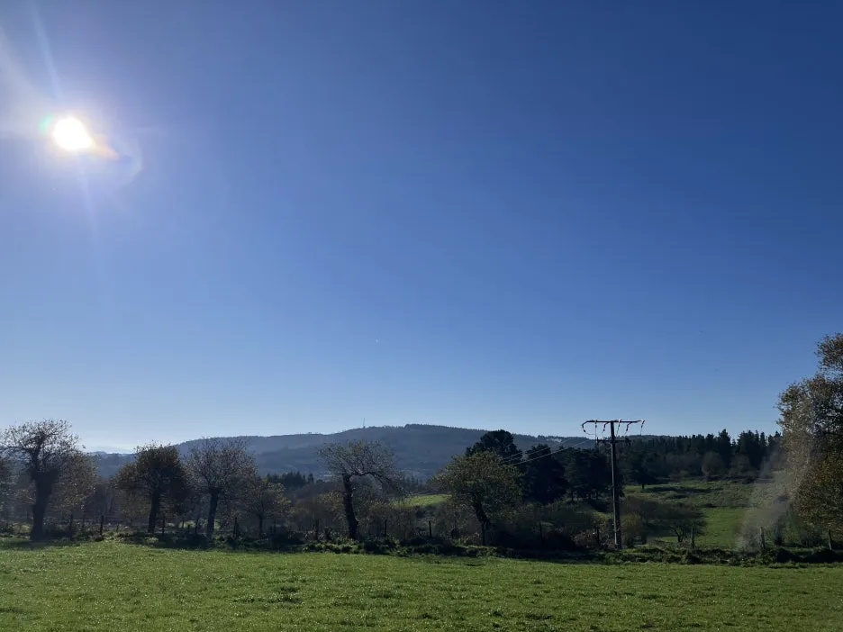 IMG_8926.jpg?type=w1