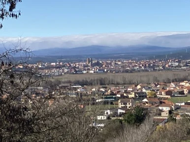 IMG_6435.jpg?type=w386