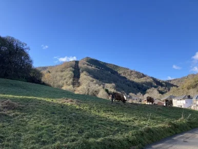 IMG_7728.jpg?type=w386